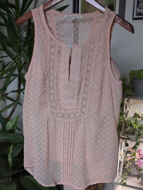 Feminine Peach Sleeveless Sheer top with cami